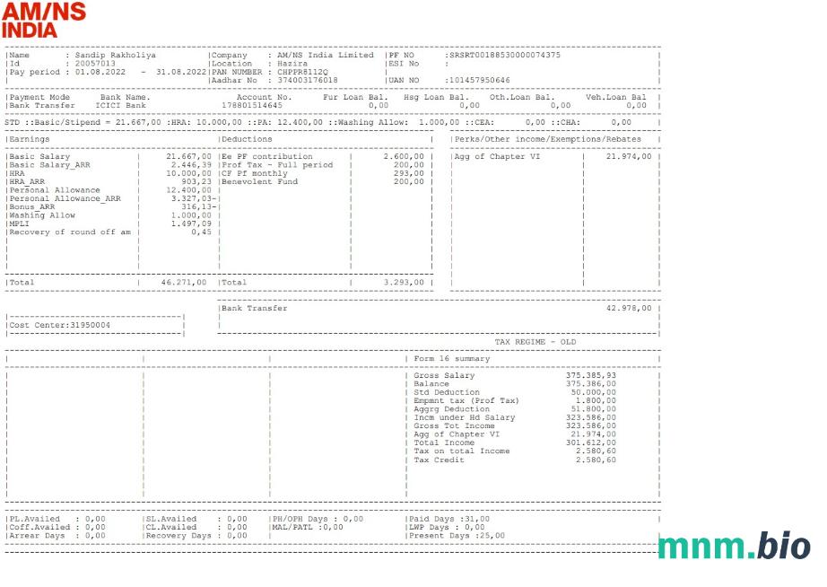 Szablon am NS India paystub w formatach Word i PDF